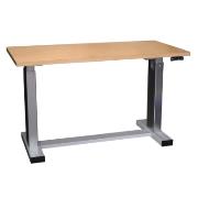 Professional workbench with electric height adjustment
