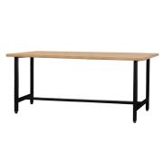 Workbench 1500 x 740, Basic version